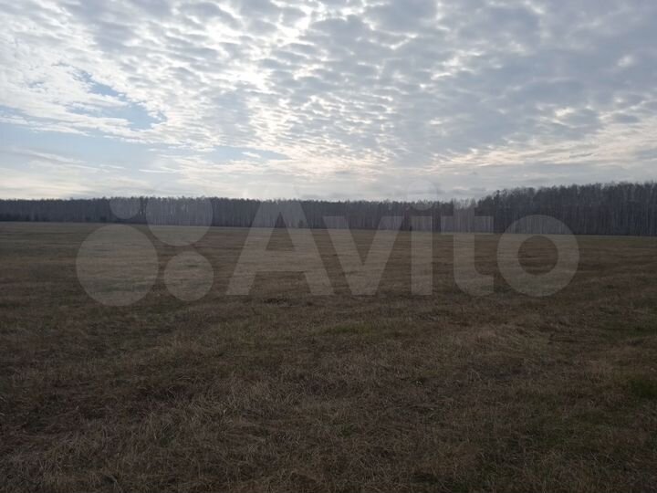 Участок 9 га (СНТ, ДНП)