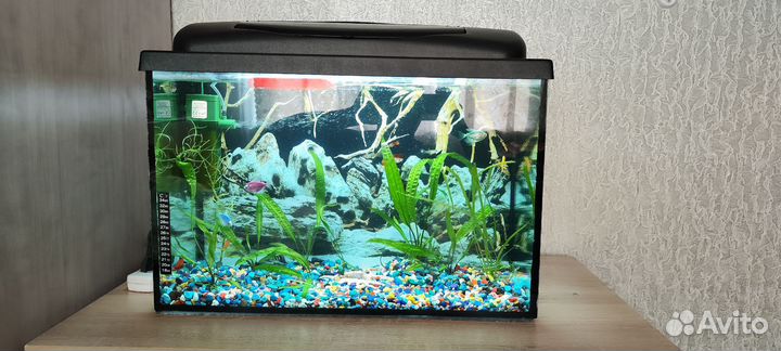Аквариум