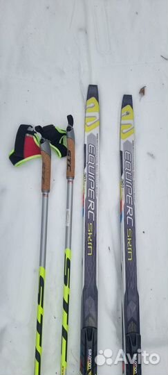 Лыжи беговые salomon equipe RS skin