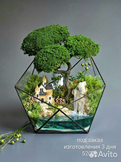 Флорариум, моссариум, подарок