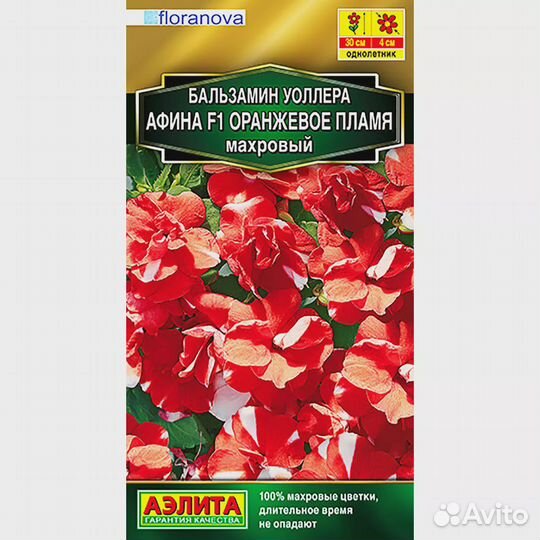 Бальзамин Афина оранжевое пламя махровый F1