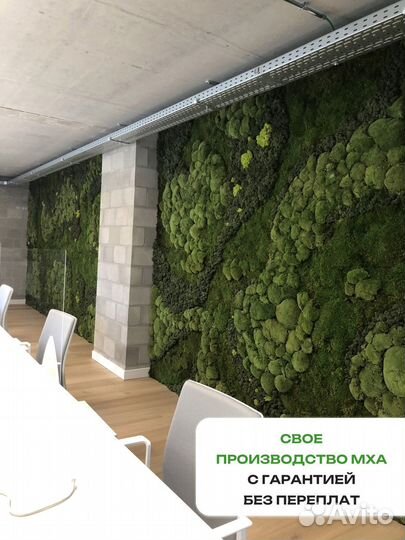 Озеленение интерьера Мох