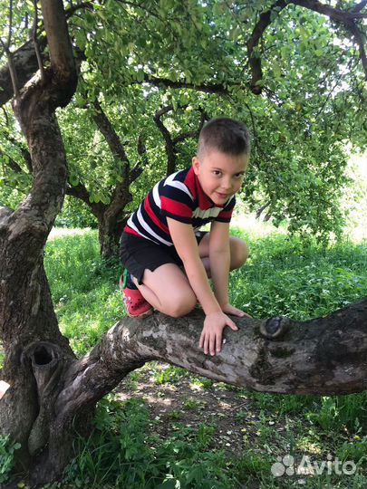 Домашний частный детский сад