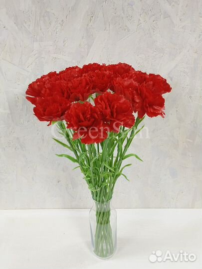 Гвоздика силиконовая