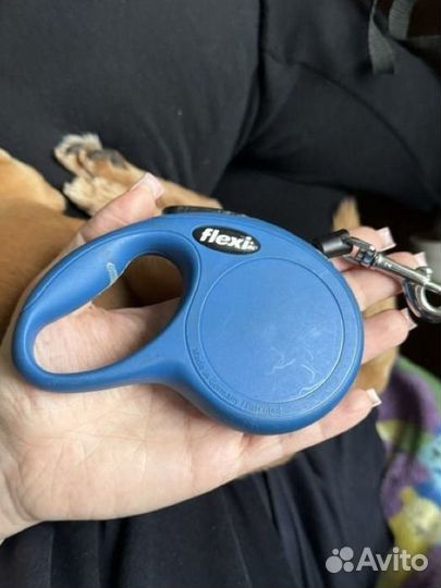Рулетка поводок для собак flexi xs classic 3 метра