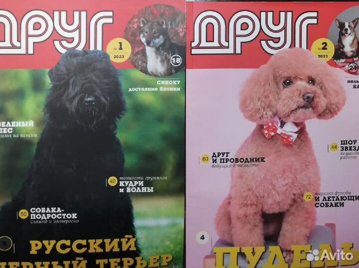 Журнал детский