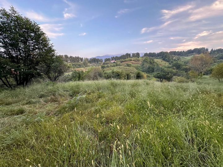 Участок 2200 м² (Грузия)