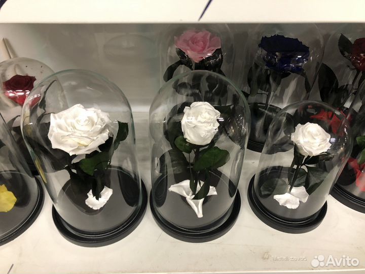 Роза в колбе купить оптом