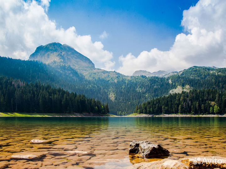 Будва Топ-Экскурсия Дикая красота Черногории