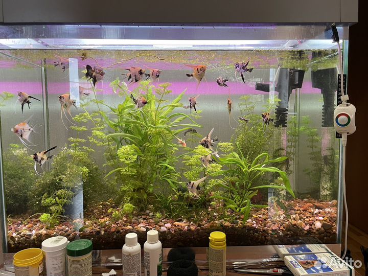 Аквариум