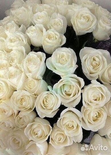 Высокие розы 150 160 170 180 190см доставка Москва