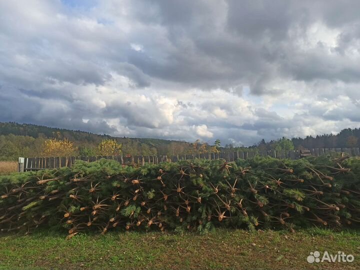 Елочки новогодние оптом