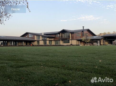 Газонная трава в рулонах