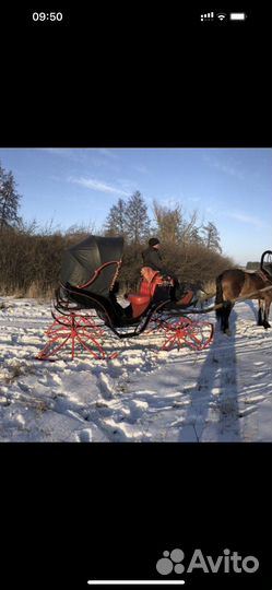 Карета для лошади