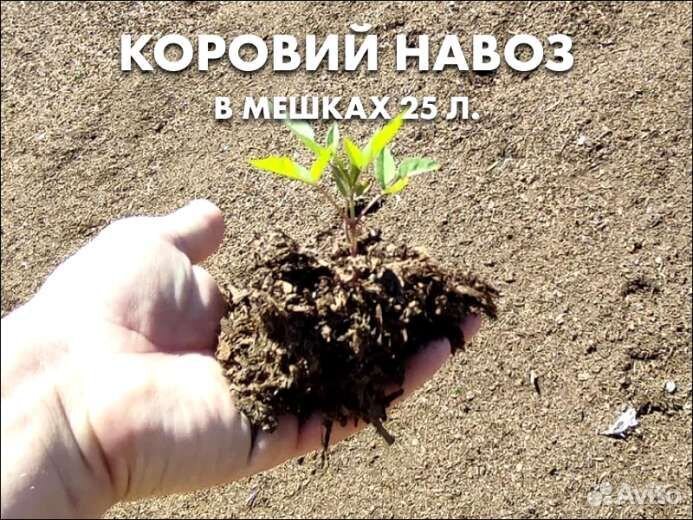 Чистый коровий навоз 25 литров