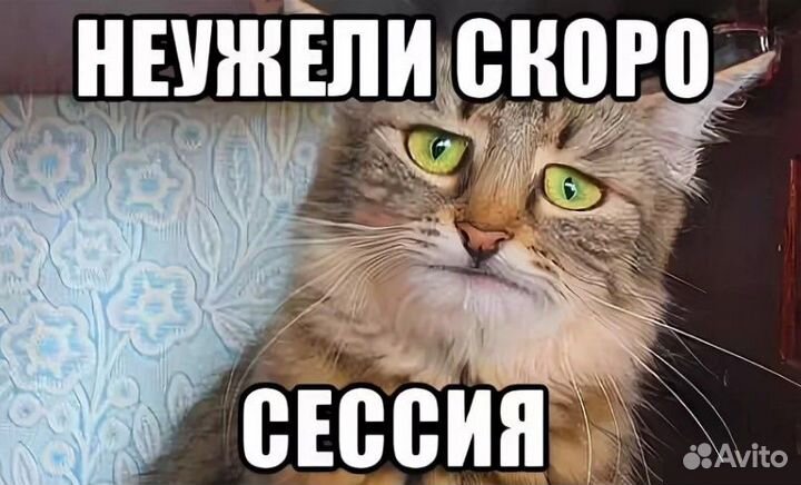 Сессия для студентов: курсовая, реферат, диплом