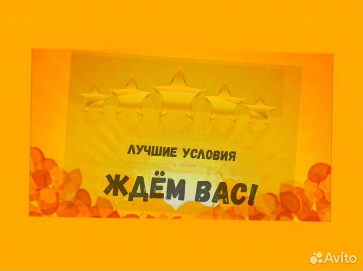 Маркировщик Еженедельный аванс М/Ж Спецодежда