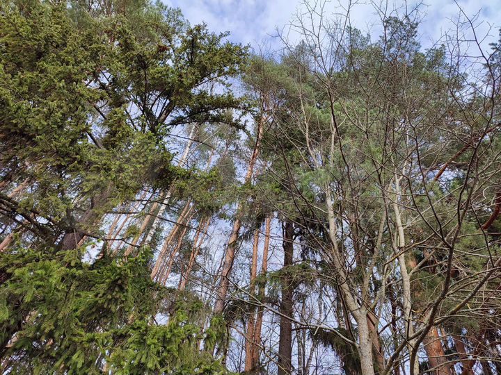 Участок 10,3 сот. (ИЖС)