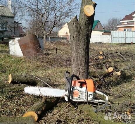 Расчистка участков - Спил деревьев - Покос травы