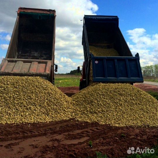 Пгс