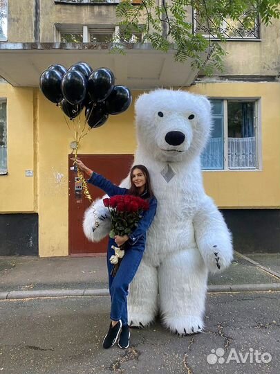 Ростовые аниматоры Чебурашка, Белый мишка 2,6