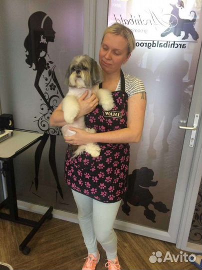 Стрижка котов кошек собак Йорк шпиц пудель бишон б