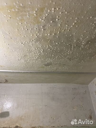 Уничтожение плесени