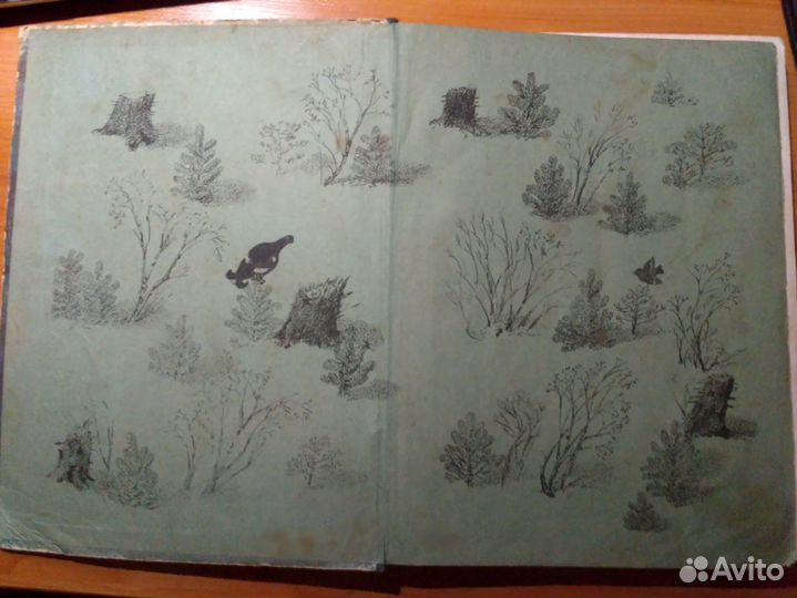 Рассказы и сказки (В. Бианки)