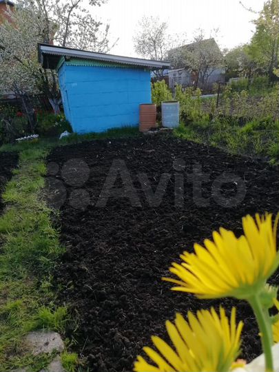 Участок 4 сот. (СНТ, ДНП)