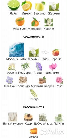 Giorgio Armani Acqua Di Gio