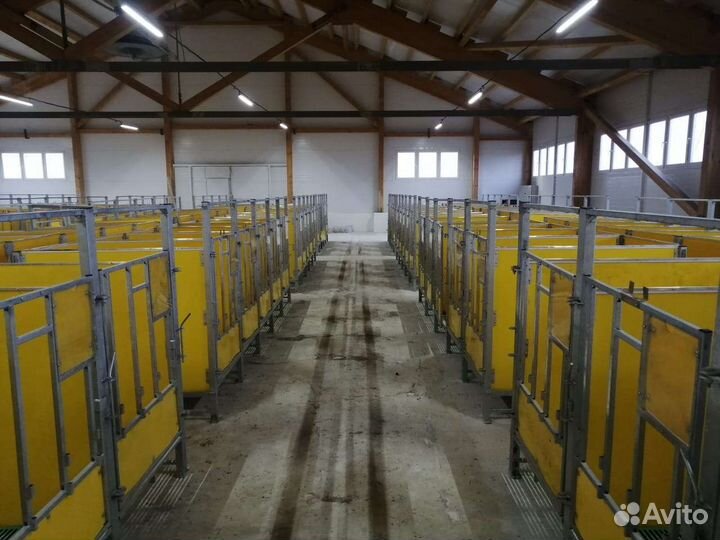 Боксы для телят (крс)