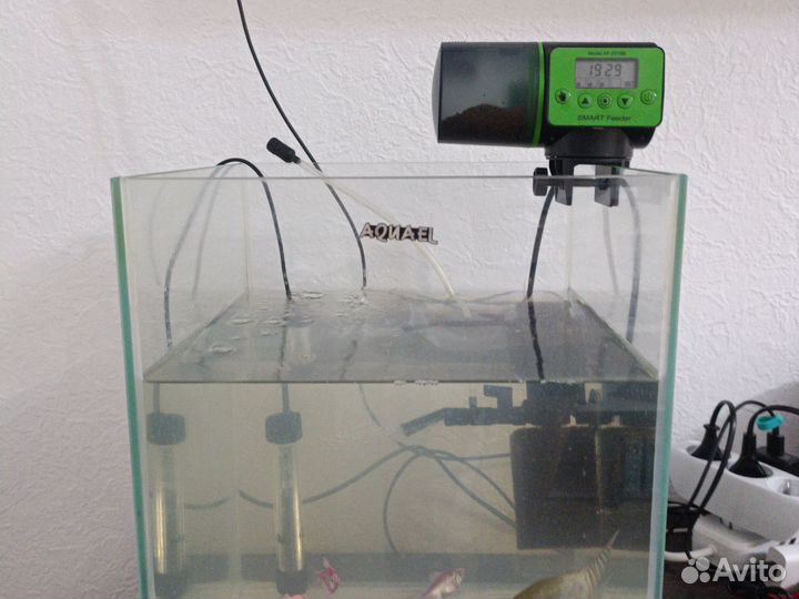 Аквариум с рыбками, фильтром и кормушкой