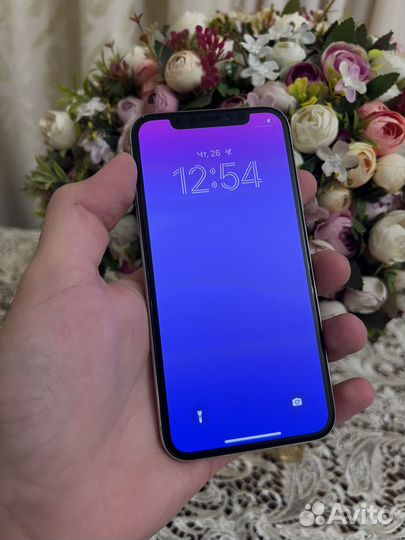 iPhone X, 64 ГБ