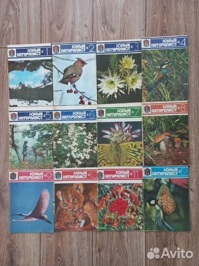 Журнал юный натуралист