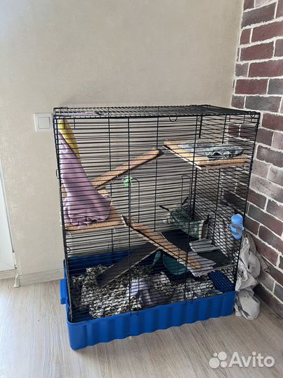 Клетка для грызунов большая (+домики и поилка)