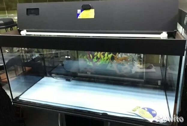 Аквариумы на заказ