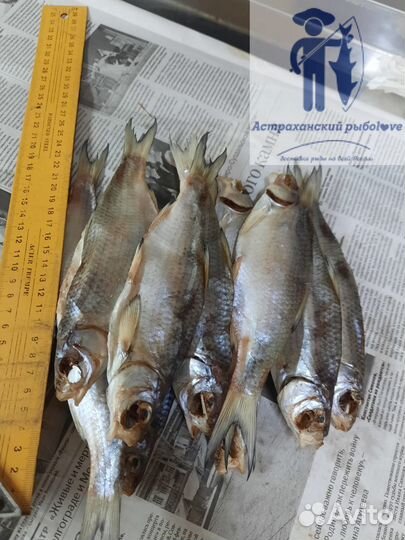 Вяленая астраханская вобла/Отправляем посылки