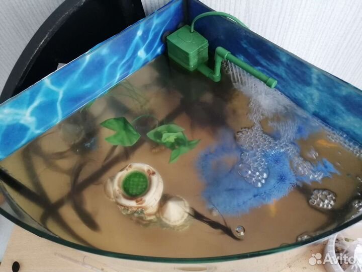 Аквариум