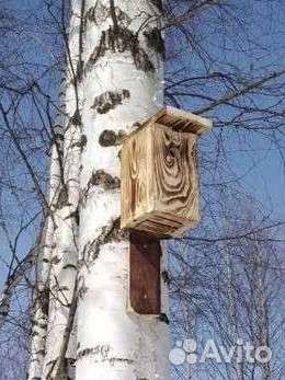 Скворечники и синичники с установкой