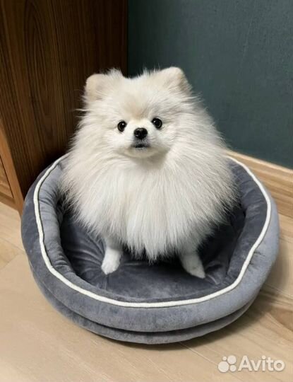 Лежанки для собак и кошек,новые