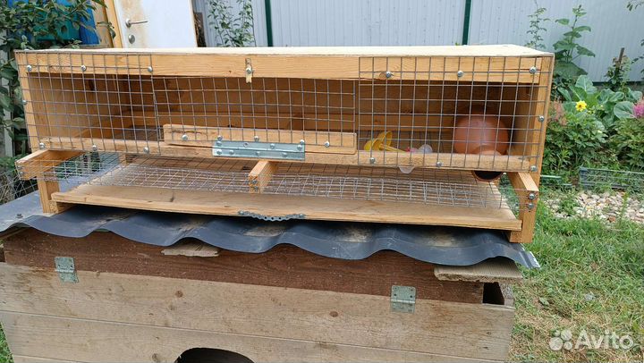 Клетка для перепелок несушек