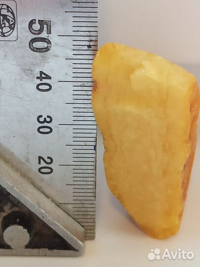 Янтарь, Калининград