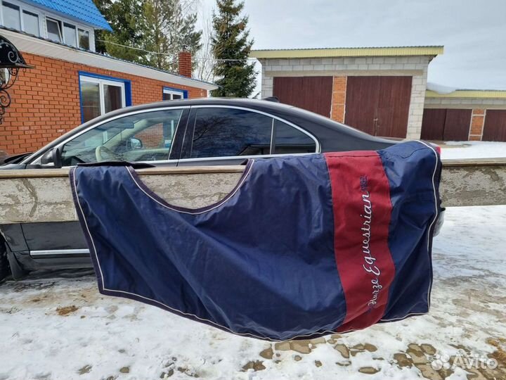 Амуниция для лошади