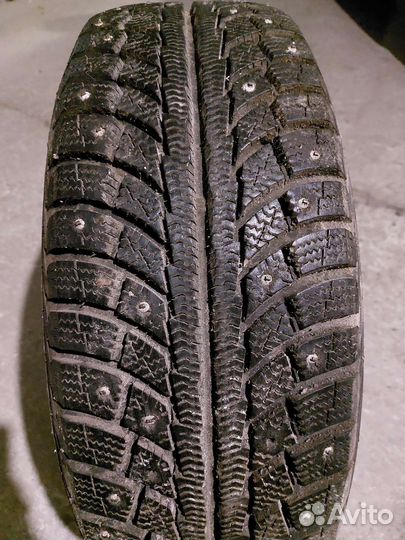 Gislaved Nord Frost 5 205/65 R15