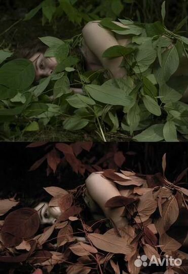 Ретушь, дизайн, реставрация, фотомонтаж