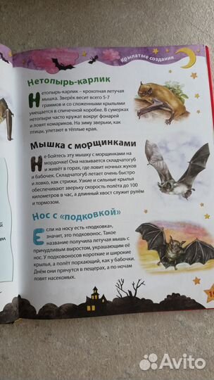 Детская книга о животных