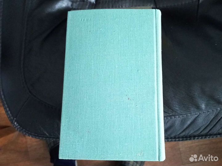 Разин Степан Алексей Чапыгин