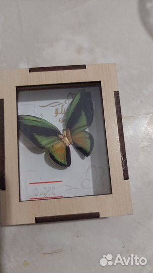 Бабочки кулоны золотые