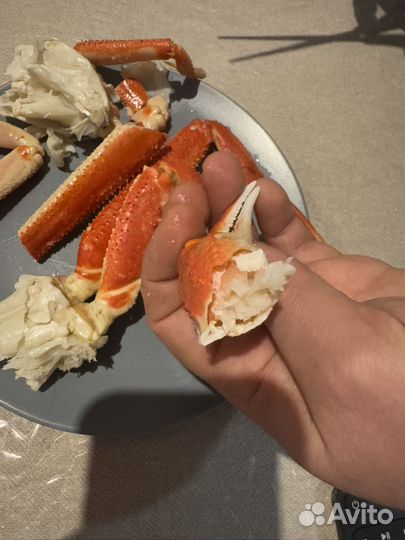 Краб стригун