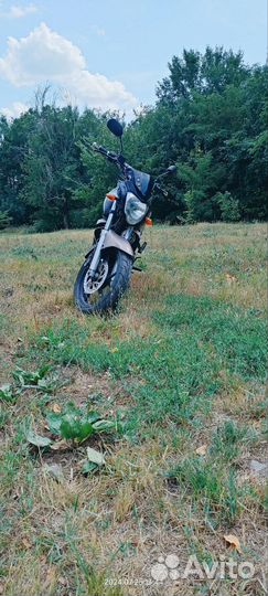 Мотоцикл Racer Nitro 250